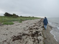 2017-09-06 12-37-40 - IMG 4056  Snart tilbage